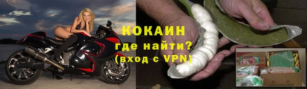 ГАЛЛЮЦИНОГЕННЫЕ ГРИБЫ Инта