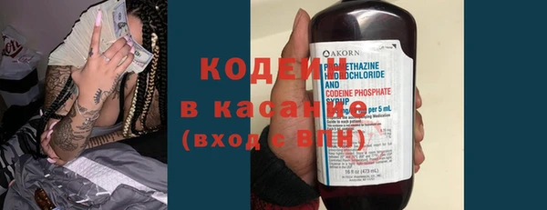 ГАЛЛЮЦИНОГЕННЫЕ ГРИБЫ Инта