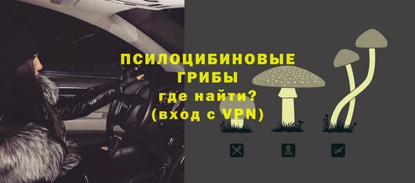 ГАЛЛЮЦИНОГЕННЫЕ ГРИБЫ Инта
