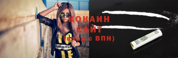 ГАЛЛЮЦИНОГЕННЫЕ ГРИБЫ Инта
