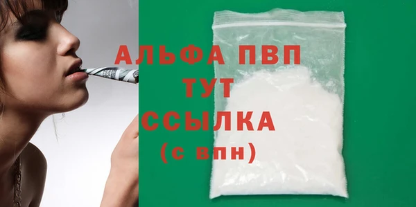 ГАЛЛЮЦИНОГЕННЫЕ ГРИБЫ Инта