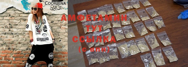 ГАЛЛЮЦИНОГЕННЫЕ ГРИБЫ Инта